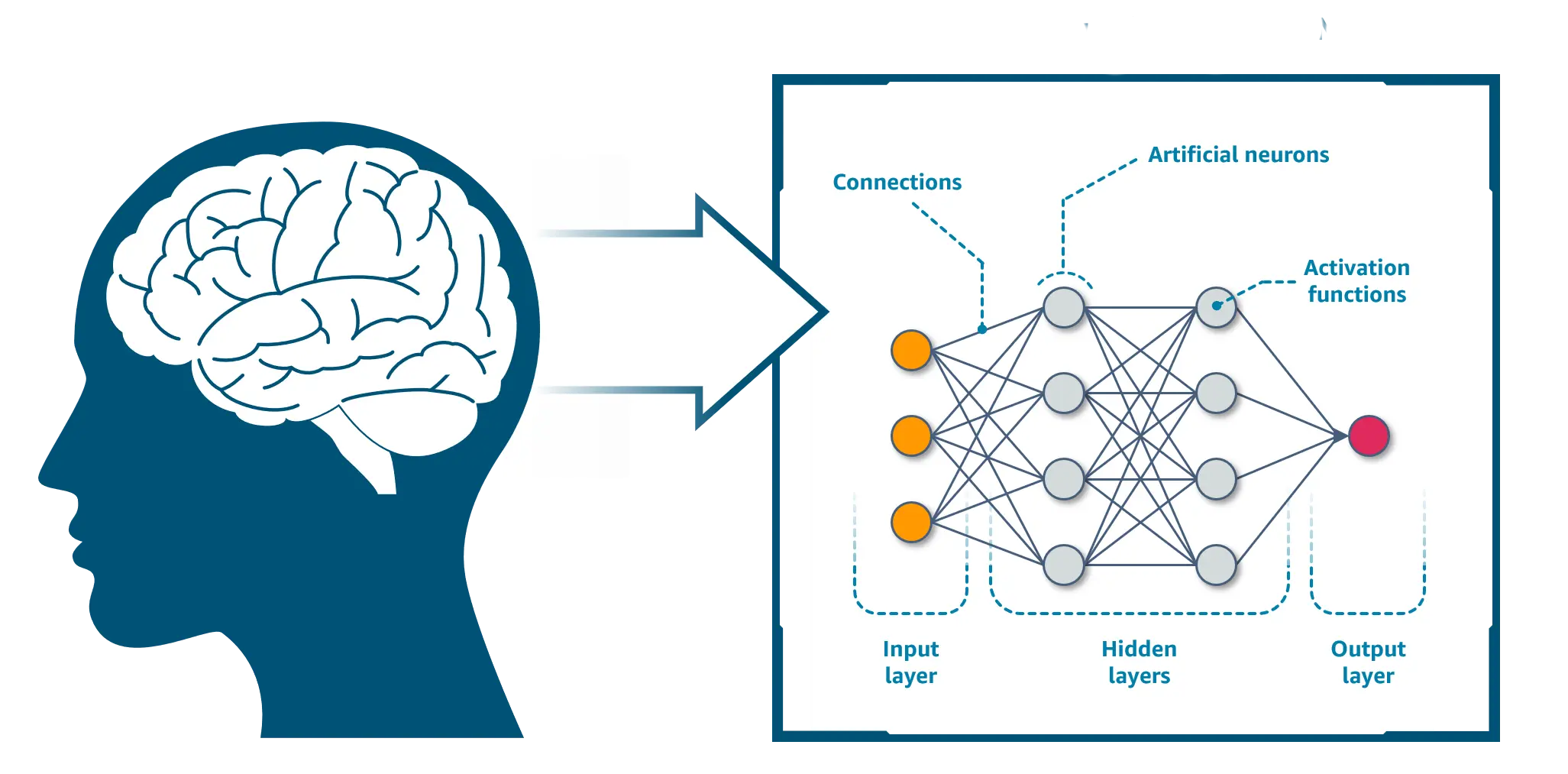 Image d'illustration d'un réseau de neurones, symbolisant la puissance de l'intelligence artificielle et du machine learning pour transformer les processus métiers.